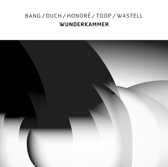 Bang/Duch/Honore/Toop/Wastell - Wunderkammer Vinyl LP
