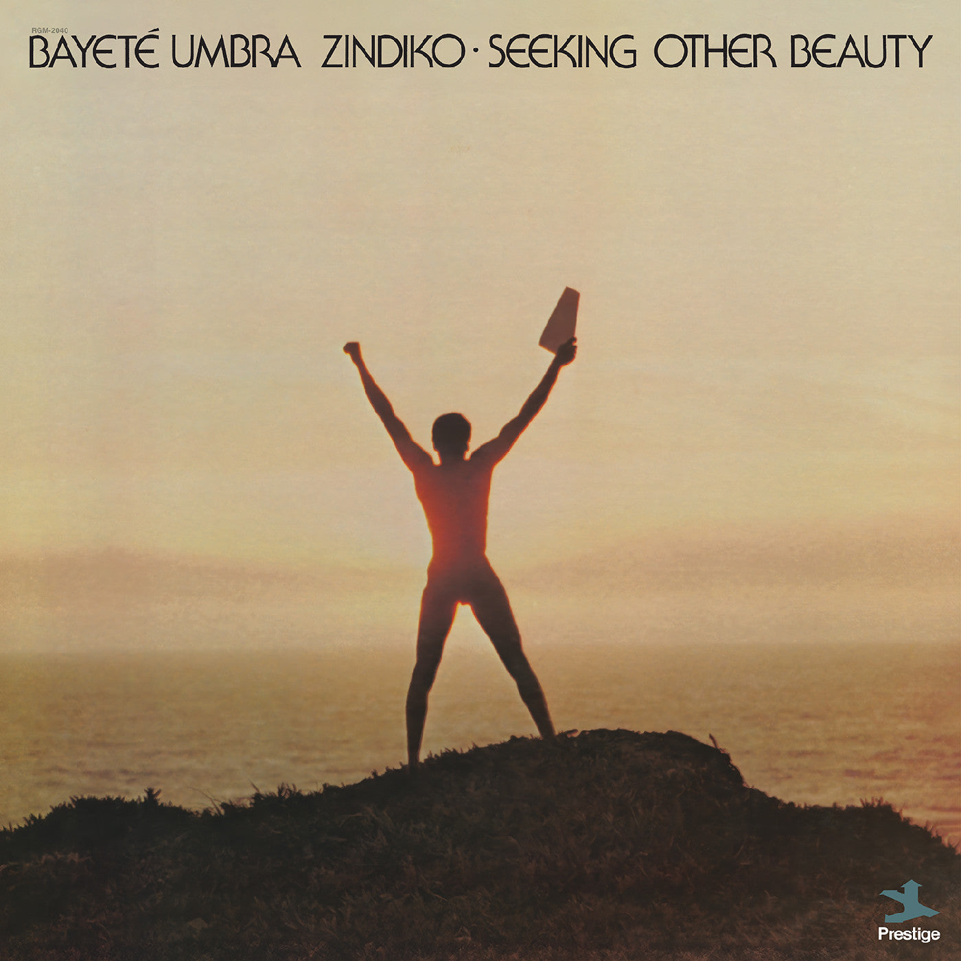 Bayeté Umbra Zindiko - Seeking Other Beauty (All-Analog) (Plasma Vinyl) Vinyl