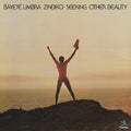 Bayeté Umbra Zindiko - Seeking Other Beauty (All-Analog) Vinyl