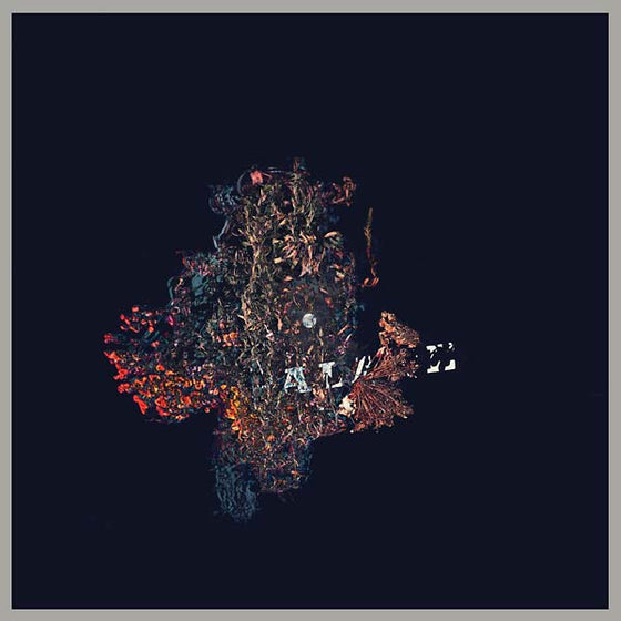 B/B/S/ - Palace Vinyl 2LP
