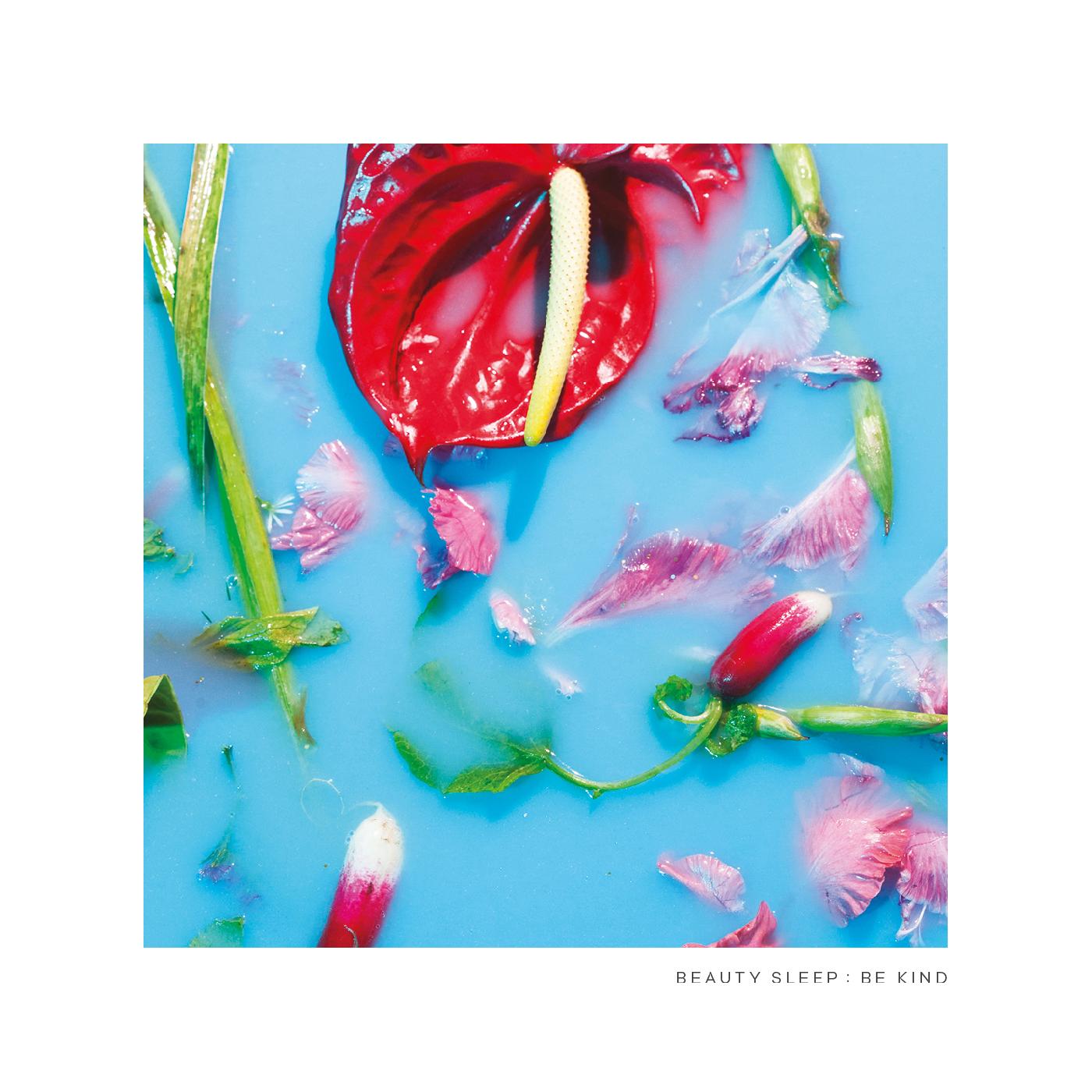 Beauty Sleep - Be Kind Vinyl LP