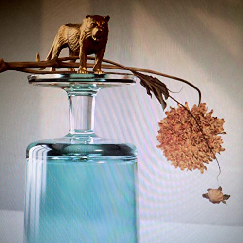 Beirut - Gallipoli (Indie Exclusive) Vinyl