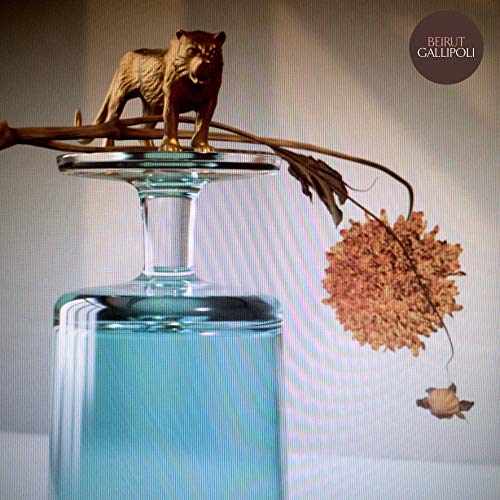 Beirut - Gallipoli Vinyl LP standard Jacket