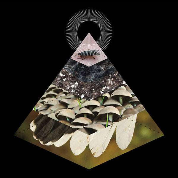 BELUS - Apophenia Vinyl LP