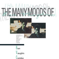 BEN VAUGHN COMBO - The Many Moods Of Ben Vaughn Combo Vinyl LP