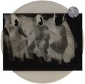 BENJAMIN FINGER - Amorosa Sensitiva Vinyl LP