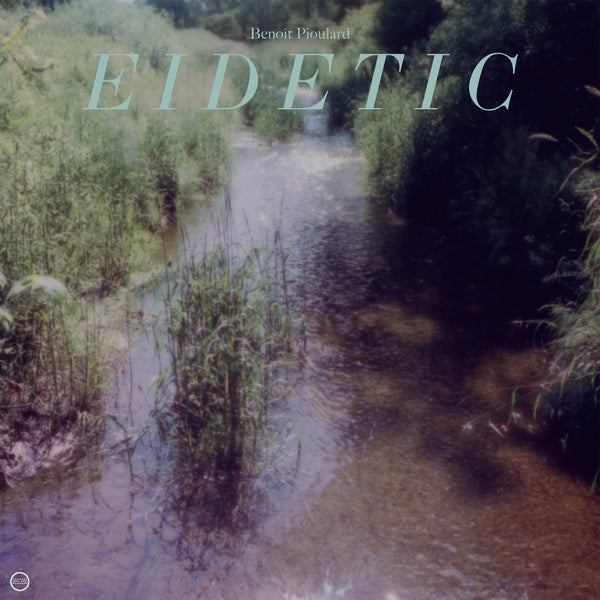 BENOIT PIOULARD - Eidetic Vinyl LP