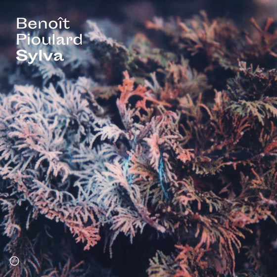 BENOIT PIOULARD - Sylva CD