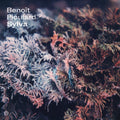 BENOIT PIOULARD - Sylva Vinyl LP