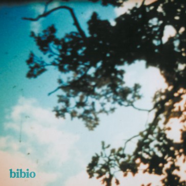 Bibio - fi Vinyl 2LP in printed inners in 5mm spine sleeve, DL card
