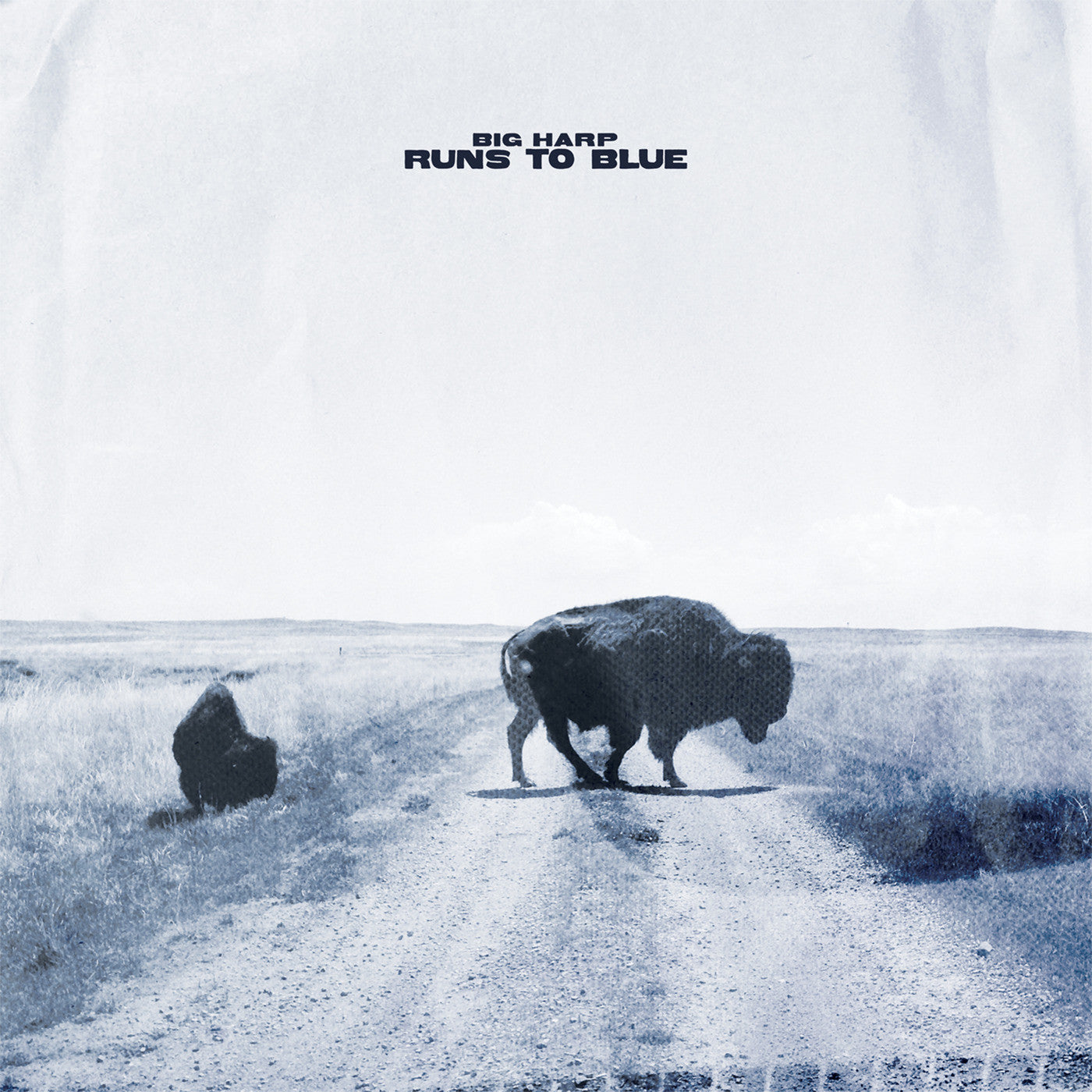 Big Harp - Runs To Blue (Opaque Blue Vinyl) Vinyl