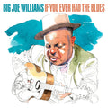 BIG JOE WILLIAMS - If You Ever Had The Blues CD