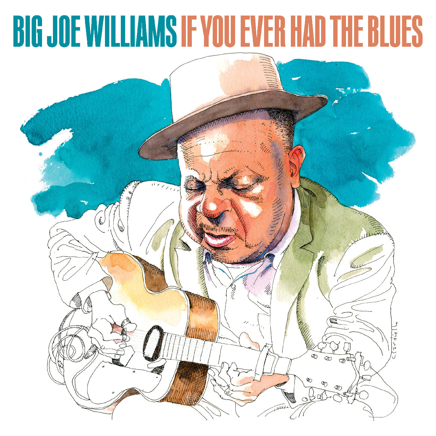 BIG JOE WILLIAMS - If You Ever Had The Blues CD