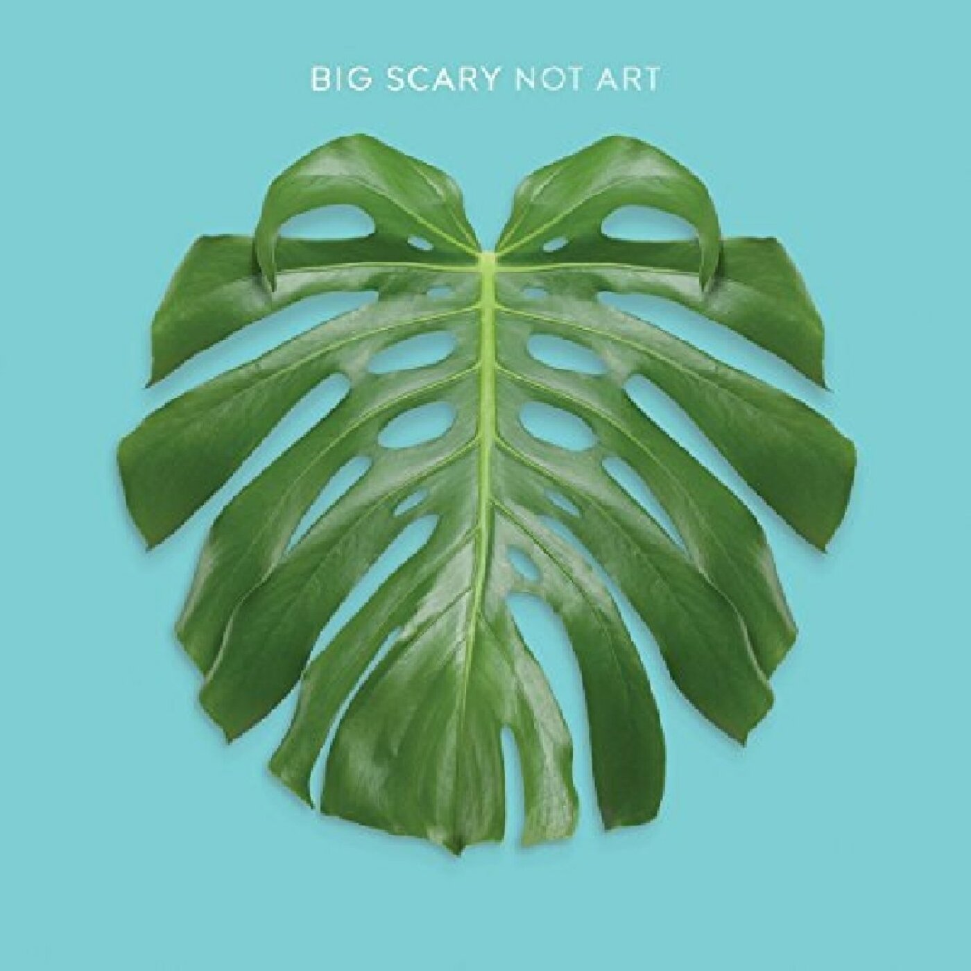 Big Scary - Not Art Vinyl 1LP Gatefold jacket