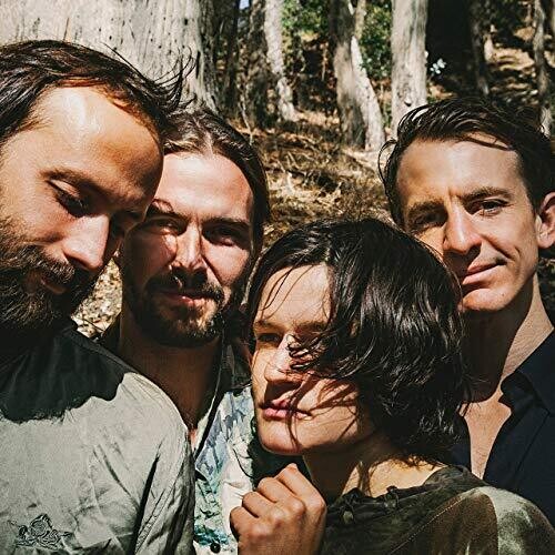 Big Thief - Two Hands Vinyl LP standard Jacket