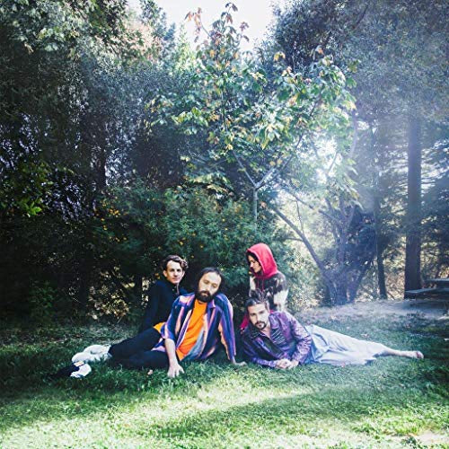 Big Thief - U.f.o.f. Vinyl LP standard Jacket