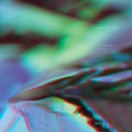 BIRDS OF PREY - Vanishing Point Vinyl LP