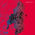 BIRDSTRIKING - Birdstriking Vinyl 2LP