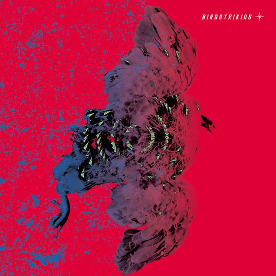 BIRDSTRIKING - Birdstriking Vinyl 2LP