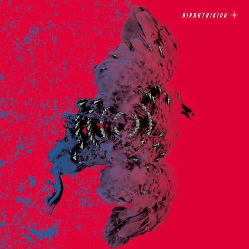 BIRDSTRIKING - Birdstriking CD CD