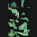 BJ NILSEN & STILLUPPSTEYPA - Goda Nott Vinyl LP