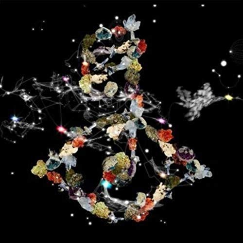 Bjork - Biophilia Vinyl