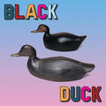 Black Duck - Black Duck Vinyl LP [w/ download card]