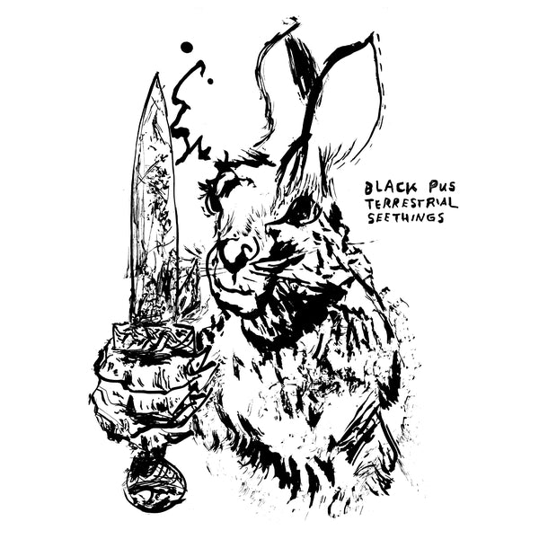 Black Pus - Terrestrial Seethings Vinyl LP
