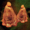 Black To Comm - Oocyte Oil & Stolen Androgens Vinyl LP [w/ download card]
