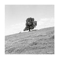 BLANK GLOSS - Cornered CD CD
