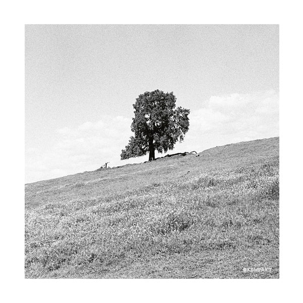 BLANK GLOSS - Cornered CD CD