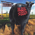 Blink 182 - Dude Ranch Vinyl