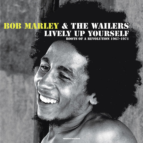 Bob Marley & The Wailers - Lively Up Yourself: Roots Of A Revolution (1967-1971) CD CD