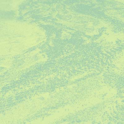 Brett Naucke - Seed Vinyl LP