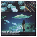 Bring Me The Horizon - Count Your Blessings [Ecovinyl LP] Vinyl