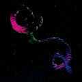 Brogan Bentley - The Snake Vinyl LP