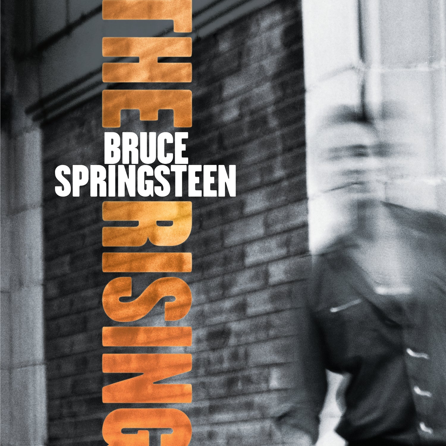 Bruce Springsteen - The Rising Vinyl