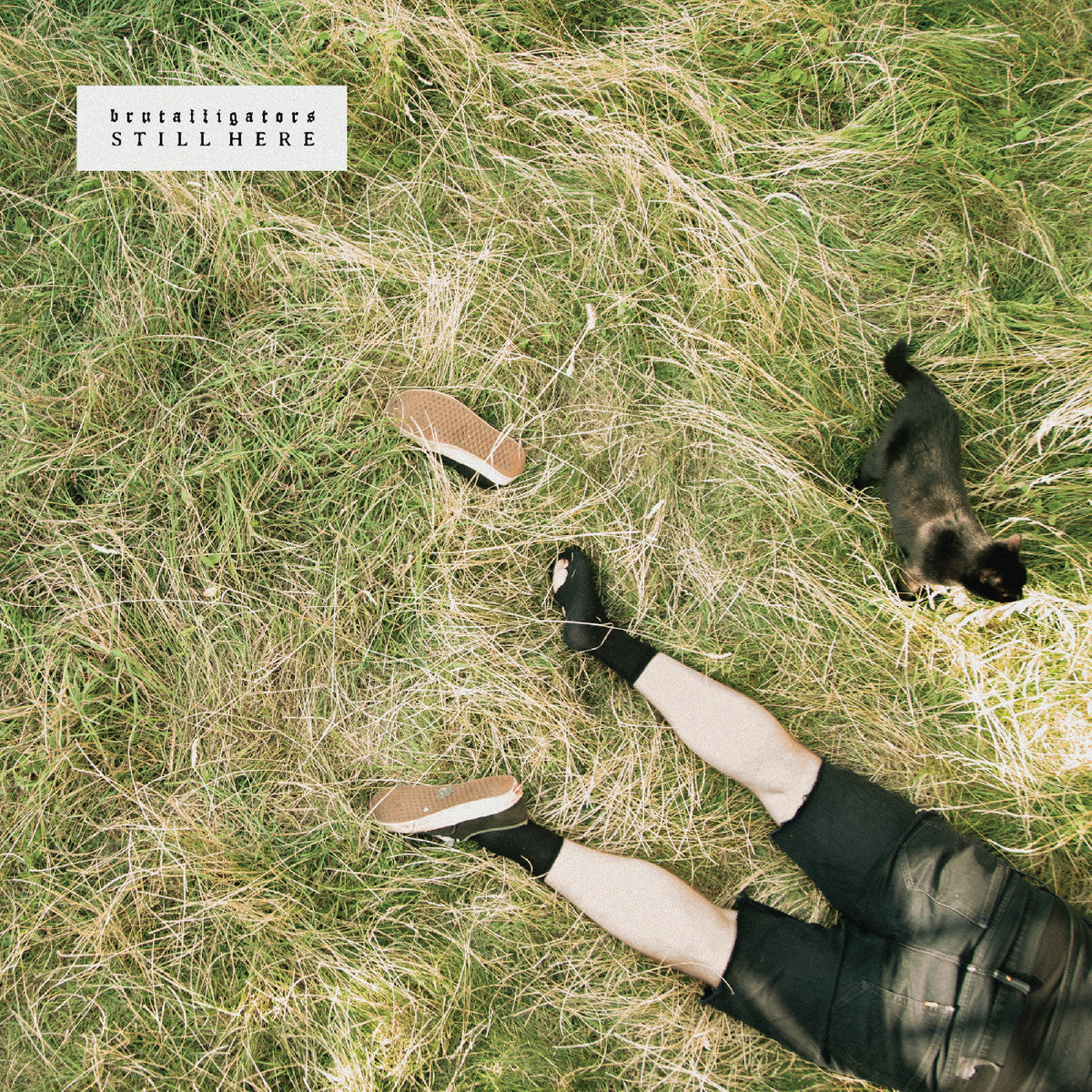 Brutalligators - Still Here (Indie Exclusive Grassy Green Marbled Vinyl) Vinyl