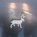 Buck Gooter - Stainless Steel Mirrors Vinyl LP