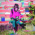 Buffalo Hunt - Ambitions Of Ambiguity (PINK VINYL) Vinyl LP Pink Vinyl, Metallic Rainbow Foil Cover