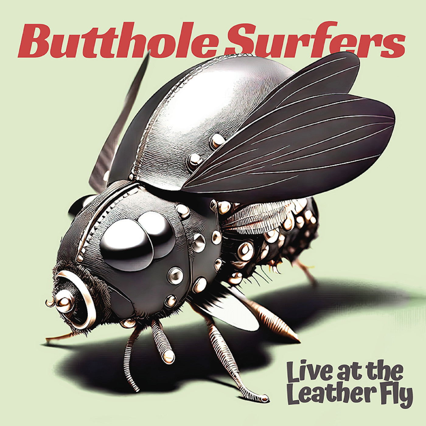 Butthole Surfers - Live At The Leather Fly CD