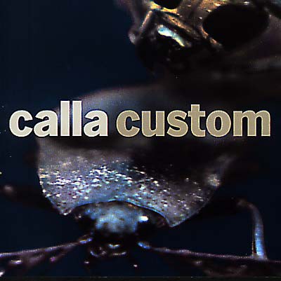 CALLA - Custom (The Remix Project) CD