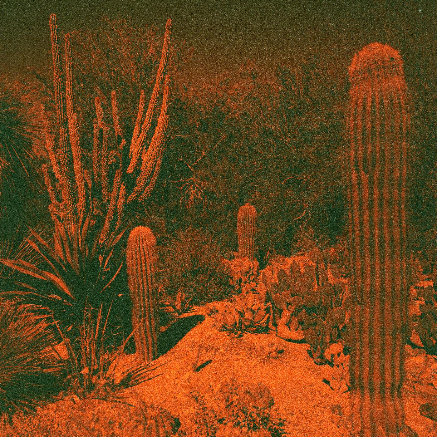 Cameron & Eli Winter Knowler - Anticipation (Indie Exclusive Purple Vinyl) Vinyl