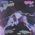 CATNAPP - Trust Vinyl LP