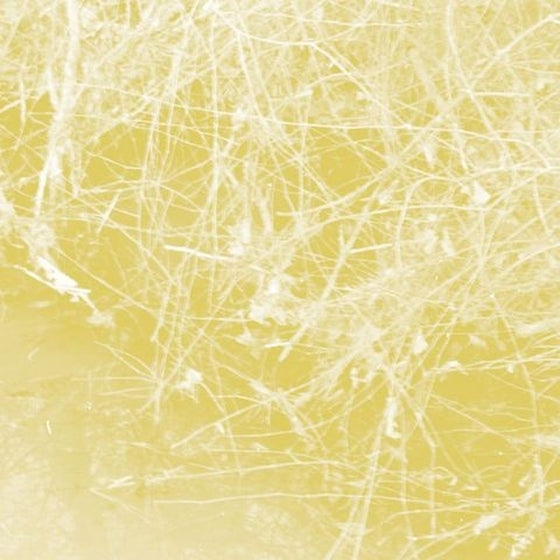CELER - Cursory Asperses CD
