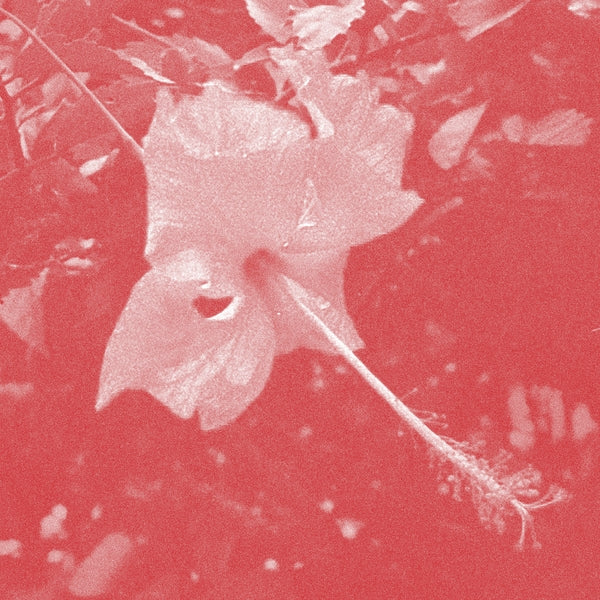 CELER - Poulaine [CD] CD