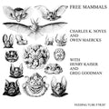 CHARLES K. NOYES AND OWEN MAERCKS WITH HENRY KAISE - Free Mammals Vinyl LP