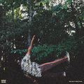 Chester Watson - fish don't climb trees Vinyl LP
