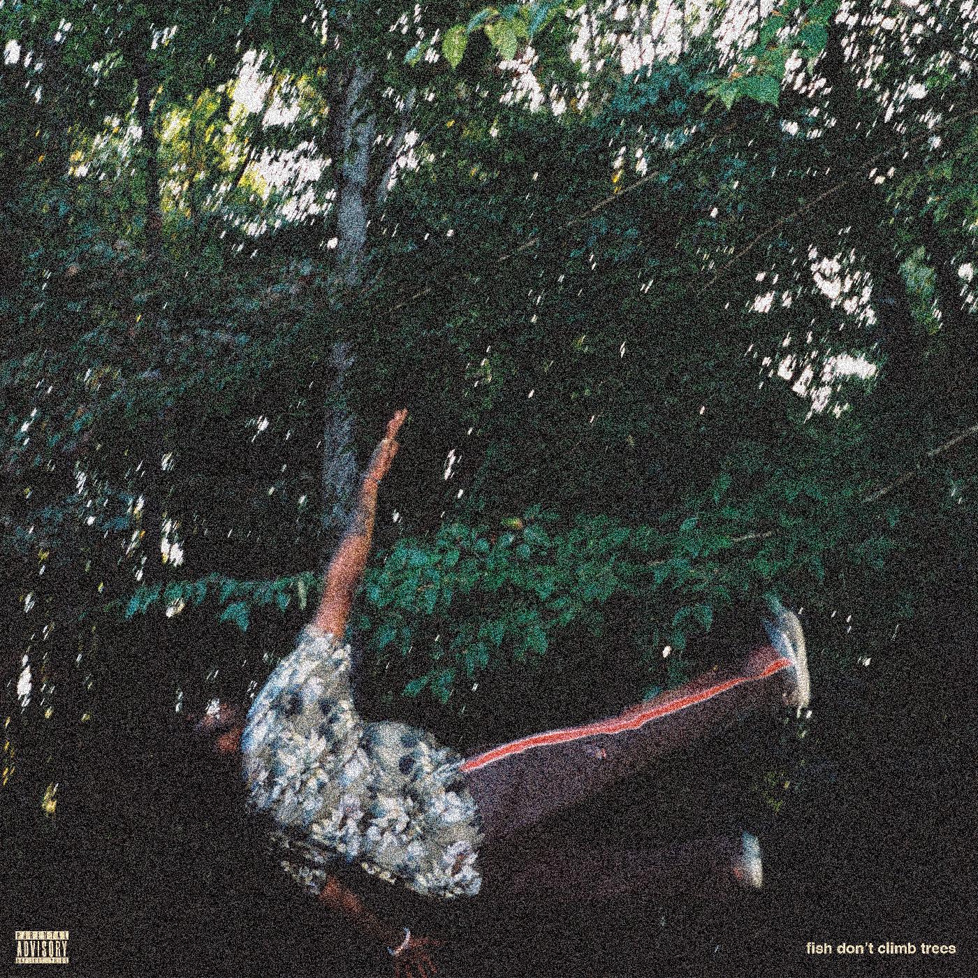Chester Watson - fish don't climb trees Vinyl LP