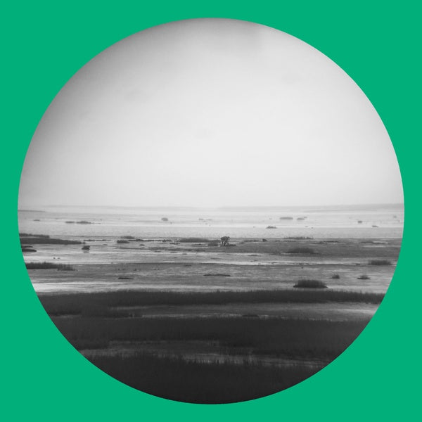 CHIK WHITE - Guts Magnet Sea CD CD